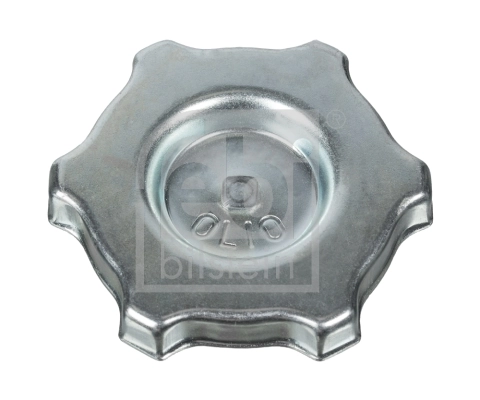 Sealing Cap, oil filler neck
